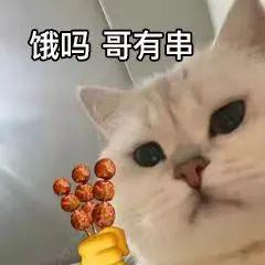 五六七表情包最好
