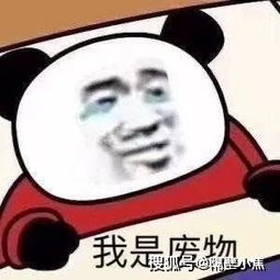  男朋友劈腿8个女生后竟然学校的八卦事震惊我妈