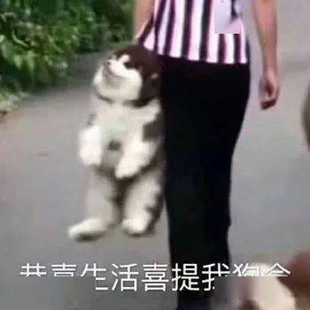  郭德纲是中国人的一粒安眠药