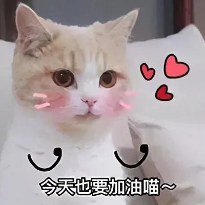  可爱沙雕表情包精神小伙,不请自来