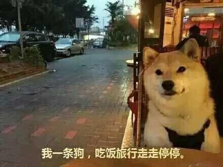  大学一直单身是种怎样的体验