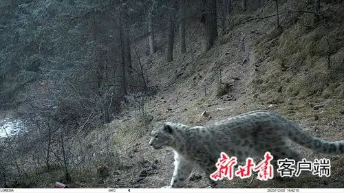 守护祁连山 守护祁连山