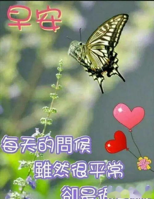  与你相识相守,不离不弃,一生一世,让幸福地久天长,早上好