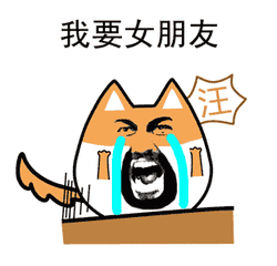  一等奖大电视就在这个周末,错过就不再上演啦