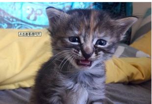 百度,你不是什么都能搜得到么请问你能搜到我的悲伤么 百度,你不是什么都能搜得到么请问你能搜到我的悲伤么