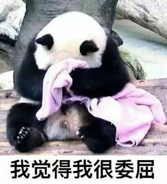  跟豪哥买房第十五期公摊面积有猫腻