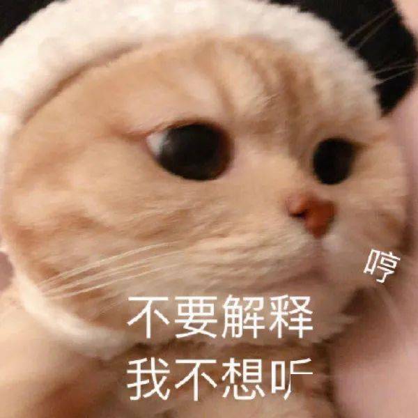 生图绝美的金晨,回头瞪眼却把发际线瞪飞了 生图绝美的金晨,回头瞪眼却把发际线瞪飞了