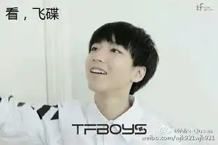 tfboy表情包主人