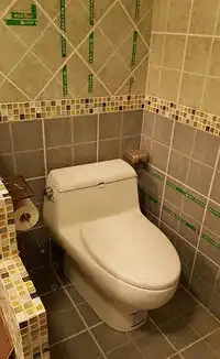 马桶旁边砌了半堵小矮墙,老婆说我脑子进浆糊,装修好她被打脸 马桶旁边砌了半堵小矮墙,老婆说我脑子进浆糊,装修好她被打脸