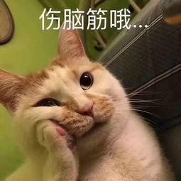 缺水停水怎么办消防哥哥来帮忙