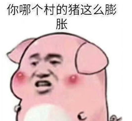  火影忍者ol最新打猫阵容推荐200w伤害都是小意思