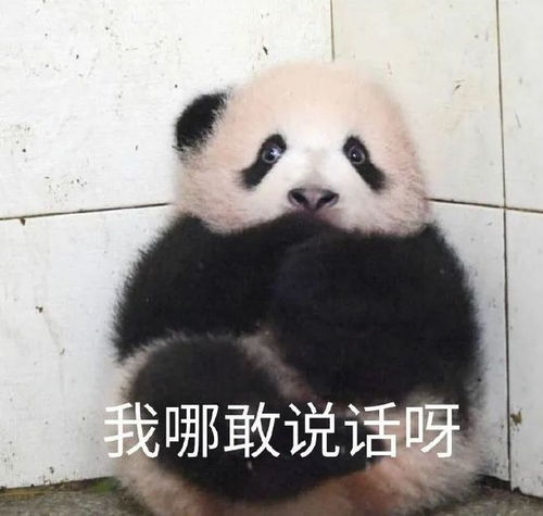  帝师早期有关某明星负面言论被扒,发文道歉澄清事件