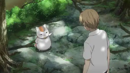 猫咪老师表情包系列之暗中观察 猫咪老师表情包系列之暗中观察