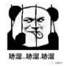  遭起正式立法收拾精日分子