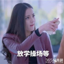  范冰冰林志玲杨颖迪丽热巴贾玲,女星发起怪力好吓人