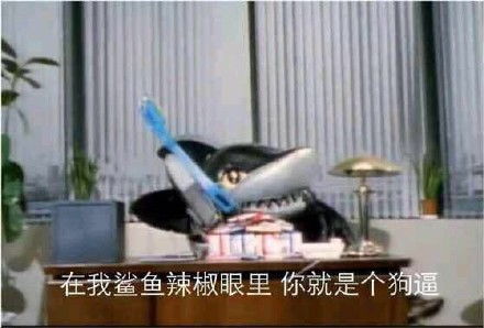  说啥呢宝贝熊猫头表情包熊猫宝贝表情