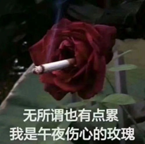  致敬劫后余生的521
