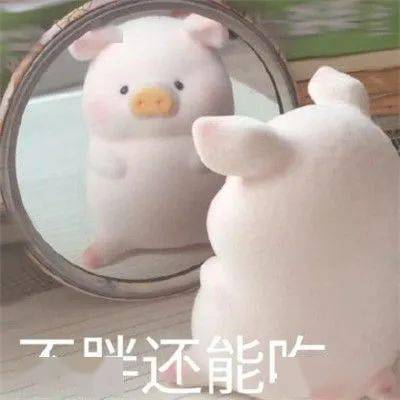  震惊竟然有人上大学胖了十几斤