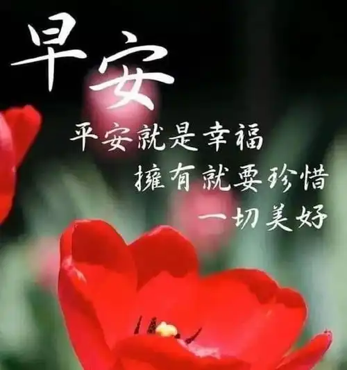 新的一周早上好问候语句子和图片中老年人早晨祝福表情包 新的一周早上好问候语句子和图片中老年人早晨祝福表情包