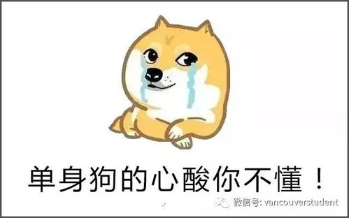  加拿大移民局情人节撒糖,毕业工签重大改革拯救无数留学生