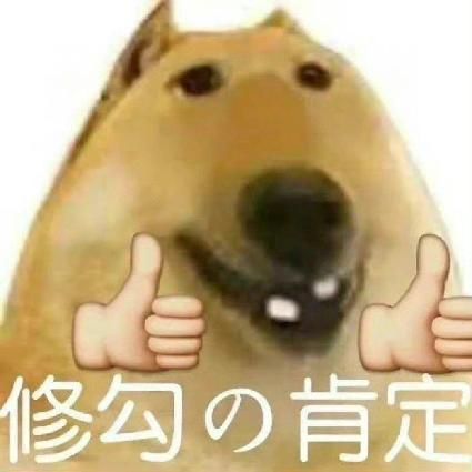  在宿舍实现养狗自由查询当代大学生的精神状态