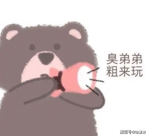  超可爱小熊系列表情包赶快码住