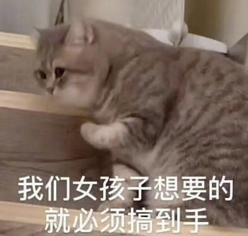  被客服小哥哥当作乔碧萝大佬并且宽慰道哥,都...