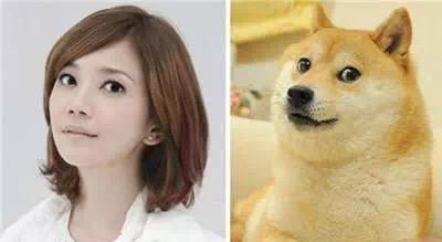  娱乐圈10位明星撞脸萌宠周杰伦霸气周冬雨可爱