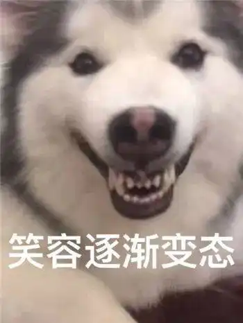  最全沙雕狗子表情包合辑年度最傻狗子都在这儿了