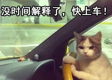 渴望的小眼神表情包开车