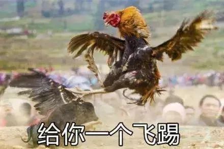  毁三观还好不是钦州这一伙人竟然专业做抢屎买卖