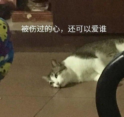  这是为啥子捏