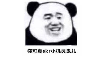  网通社汽车山西保利海马