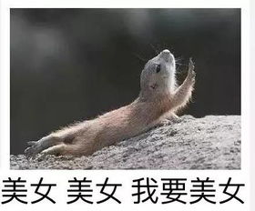  旷工打断腿都非去不可重庆交流会可能长这样