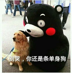  这设么系列的