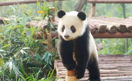 1分钟下完1部蓝光电影刚刚,全国首个5g示范街区亮相了 1分钟下完1部蓝光电影刚刚,全国首个5g示范街区亮相了