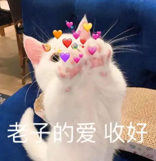 沙雕表情莫说了直接开舔就完事了 沙雕表情莫说了直接开舔就完事了