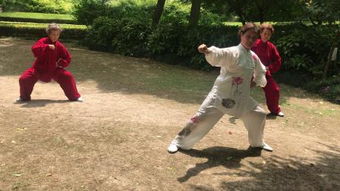  24式太极拳