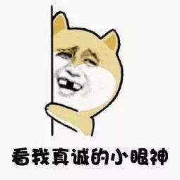  真香从此我就是blued上最靓的仔了