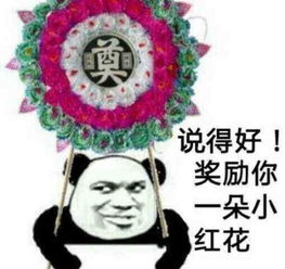  说的好奖你一朵小红花的花圈表情包