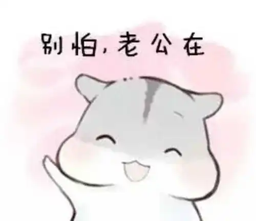 仓鼠表情包夫君不在,寂寞如雪 仓鼠表情包夫君不在,寂寞如雪