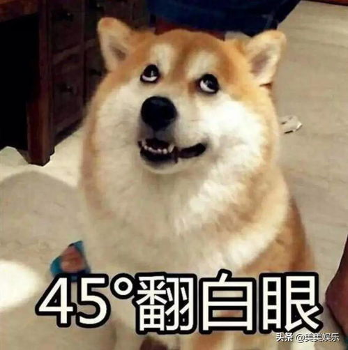  爱豆靠黑出名相貌才艺平平,还插足别人婚姻当小三