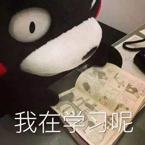  马上就要截止今日深大重要通知出炉深大快讯