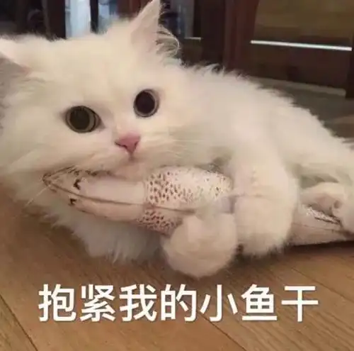 西安重污染天气橙色预警超10天仍未解除陕西中南部将有雨雪 西安重污染天气橙色预警超10天仍未解除陕西中南部将有雨雪