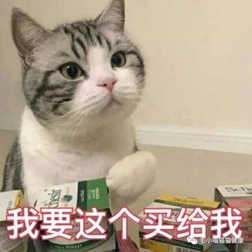  我的收藏