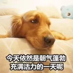  今天我不想干了