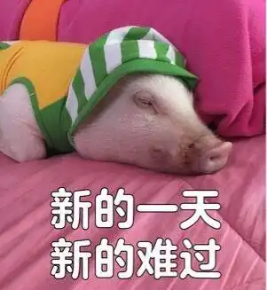 关于猪的搞笑表情包开心得像个小猪仔 关于猪的搞笑表情包开心得像个小猪仔