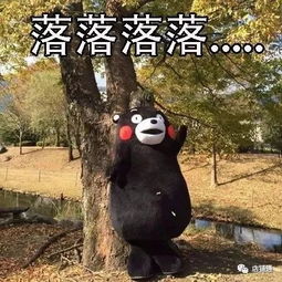  每逢佳节胖三斤,放假之后回到家的你