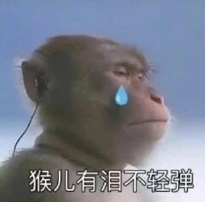  他俩才是表情包界的新顶流