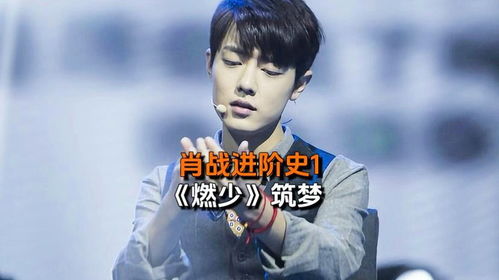 肖战进阶史1燃烧吧少年,筑梦的开始 肖战进阶史1燃烧吧少年,筑梦的开始
